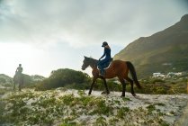 Молодая женщина верхом на лошади на солнечном спокойном пляже — стоковое фото