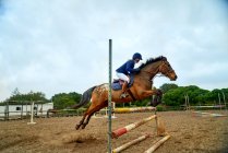 Teenage girl practicing equestrian jumping in paddock — Stock Photo