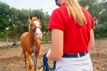 Девочка-подросток тренирует лошадь в загоне — стоковое фото