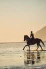 Jovem cavalgando no tranquilo pôr-do-sol oceano surf — Fotografia de Stock