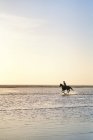 Jeune femme équitation courir dans l'océan surf — Photo de stock