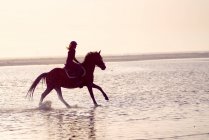 Young woman galloping on horseback in ocean surf — Stock Photo