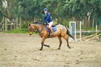 Ritratto fiducioso adolescente equestre salto nel paddock — Foto stock