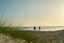 Frauen reiten am ruhigen Strand des Ozeans bei Sonnenuntergang — Stockfoto