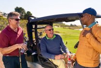 Männliche Freunde unterhalten sich am Golfcart auf sonnigem Golfplatz — Stockfoto