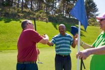 Male golfers shaking hands at pin on sunny golf course — Stock Photo