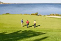 Los golfistas masculinos que caminan hacia el perno en el verde soleado del putting del lago - foto de stock