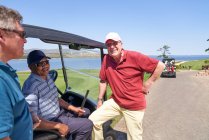 Feliz masculino golfista amigos falando no carrinho de golfe em campo ensolarado — Fotografia de Stock