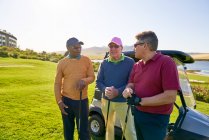 Reife männliche Golfer unterhalten sich bei sonnigem Golfkarren — Stockfoto