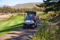 Чоловічі гольфи катаються в кошику для гольфу на сонячному полі для гольфу — стокове фото