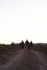 Safari tour group walking along dirt road — Stock Photo
