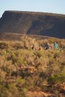 Safari tour grupo caminhando ao longo paisagem gramado ensolarado África do Sul — Fotografia de Stock
