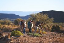 Гид по сафари с объяснением растений группе ЮАР — стоковое фото