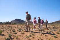 Safari tour guide leading group in sunny grassland South Africa — Stock Photo