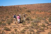 Safari tour guide leading group along sunny grassland South Africa — Stock Photo