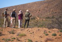 Safari grupo de gira observando jirafas en la distancia Sudáfrica - foto de stock