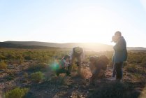 Safari-Reiseleiter erklärt Gruppe Pflanzen im sonnigen Naturschutzgebiet — Stockfoto
