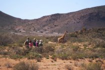 Safari tour group assistindo girafa ensolarado reserva de vida selvagem África do Sul — Fotografia de Stock