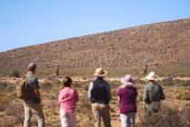 Safari tour group watching giraffes in distance South Africa — Stock Photo