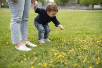 Cute innocent toddler girl picking flowers in park grass — Stock Photo