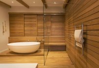 Замачивание ванны и душа, окруженных деревянными стенами в современной, роскошной внутренней ванной комнате с витриной — стоковое фото