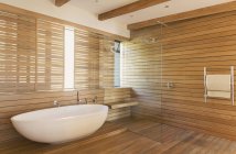 Cuentan con bañera y ducha rodeadas de madera en un moderno y lujoso cuarto de baño interior. - foto de stock