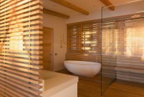 Banheira de imersão e chuveiro cercado por madeira no moderno e luxuoso banheiro interior vitrine — Fotografia de Stock