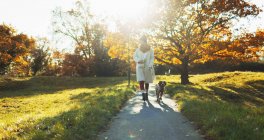 Young woman walking dog in sunny autumn park — Stock Photo