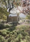 Идиллическая церковь и солнечный спокойный летний сад — стоковое фото