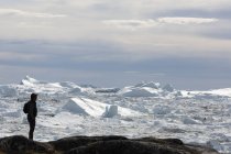 Silhouette homme regardant la fonte des glaces polaires Groenland — Photo de stock