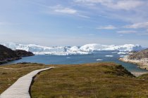 Sunny footpath leading to beach overlooking icebergs Greenland — Stock Photo