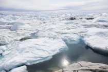 Il ghiaccio polare scioglie la Groenlandia — Foto stock