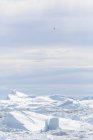 Veduta della Groenlandia sciolta dal ghiaccio — Foto stock