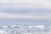 Солнечный полярный лед тает в Гренландии — стоковое фото
