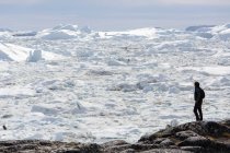 Человек на скалах глядя на солнечный ледник тает вид Гренландии — стоковое фото