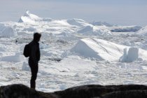 Силует людини, що дивиться на сонячний льодовик, розтоплює Гренландію. — стокове фото