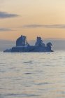 Величне утворення айсберга в Атлантичному океані під час заходу сонця в Ґренландії — стокове фото