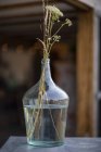 Flores rústicas en jarrón de vidrio claro - foto de stock