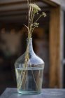 Rustic flowers in clear glass vase — Stock Photo