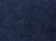 Bloque de aves blancas que vuelan por encima de un acantilado accidentado - foto de stock