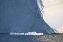 Birds perched on melting ice below iceberg Atlantic Ocean Greenland — Stock Photo