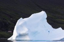 Birds perched on melting iceberg Greenland — Stock Photo