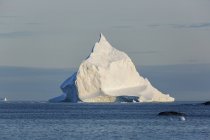 Majestosa formação de iceberg no ensolarado Oceano Atlântico Groenlândia — Fotografia de Stock