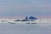 Schmelzende Eisberge über dem ruhigen Atlantik Grönland — Stockfoto