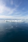 El hielo polar se derrite en el soleado océano Atlántico azul Groenlandia - foto de stock