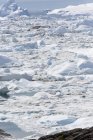 Таяние ледникового льда в Гренландии — стоковое фото