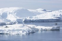 Ghiaccio polare Disko Bay Groenlandia occidentale — Foto stock