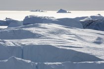 Sunny white icebergs Greenland — Stock Photo