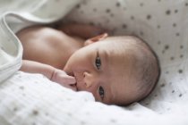 Close up cute newborn  baby boy in bassinet — Stock Photo