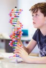 Garçon curieux examinant le modèle ADN en classe — Photo de stock
